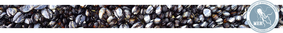 Mussels with Logo